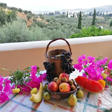 Trizinia View Garden Holiday home Galatas (Poros)