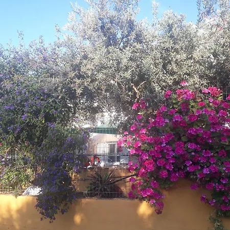 Trizinia View Garden Feriehus *